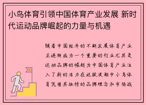 小鸟体育引领中国体育产业发展 新时代运动品牌崛起的力量与机遇